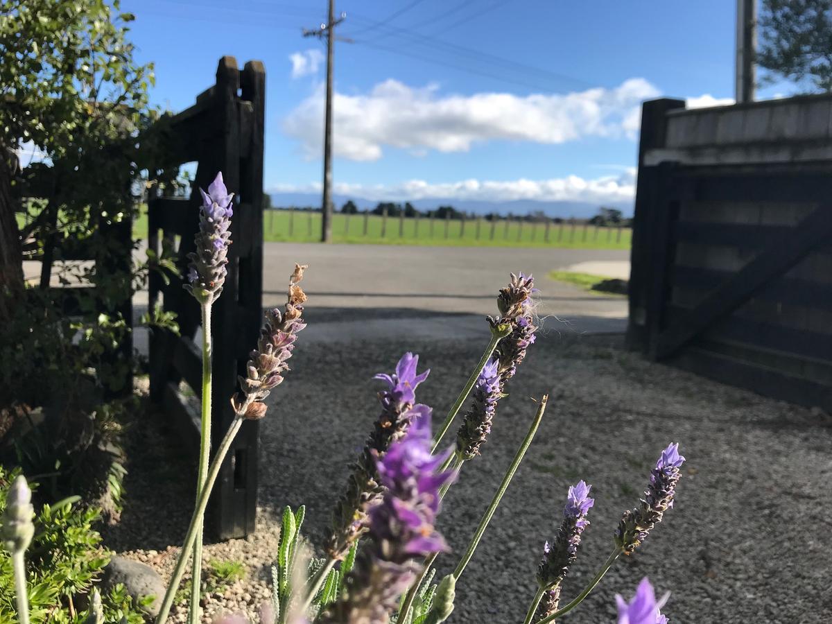 Lavender53 Villa Martinborough Luaran gambar